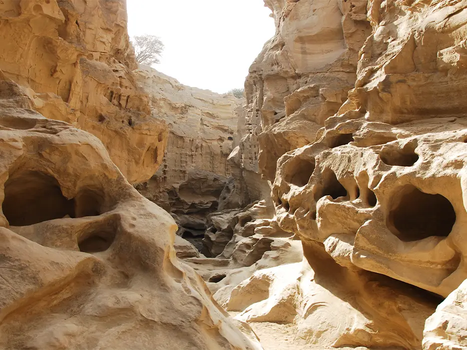 چابهار یا قشم