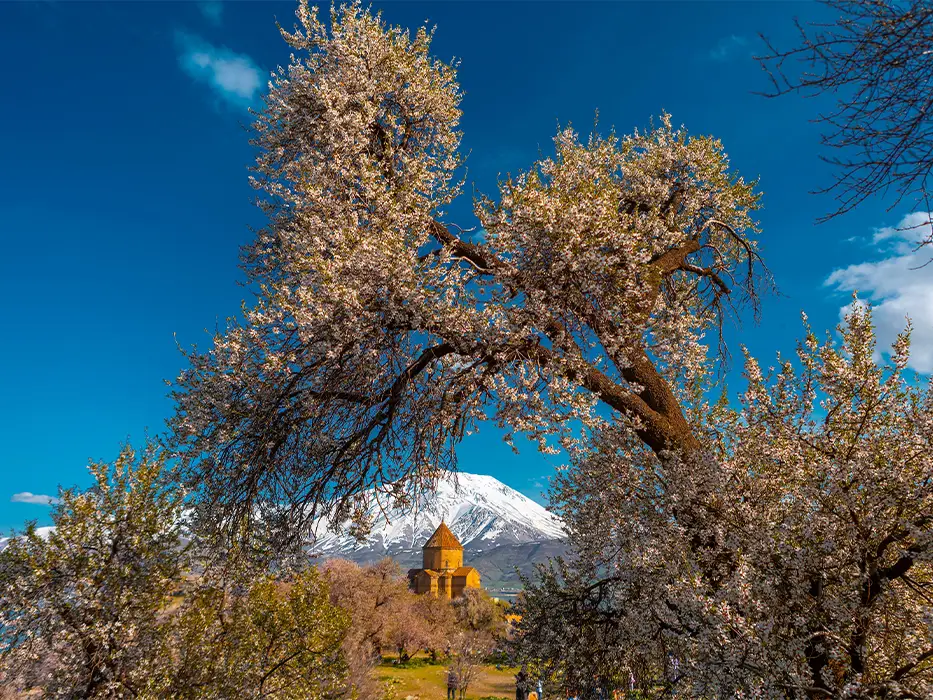 نقش زنان در وان