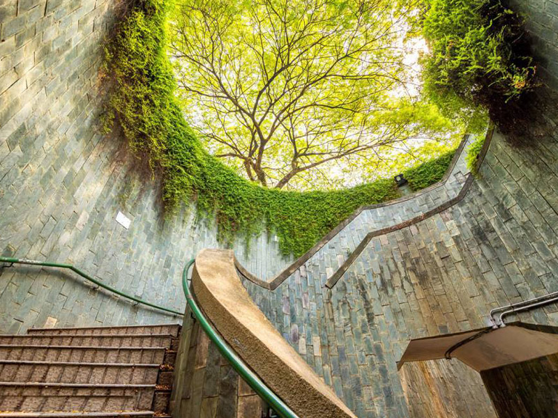 پارک Fort Canning - الی گشت -طبیعت سنگاپور