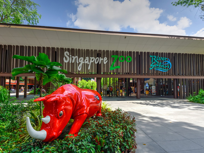 بازدید از باغ وحش سنگاپور - الی گشت