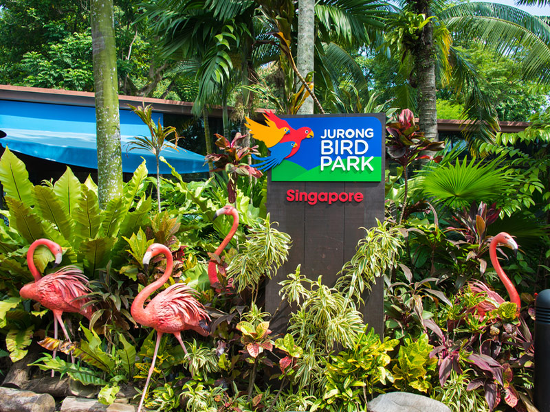مشهورترین باغ وحش های سنگاپور - الی گشت