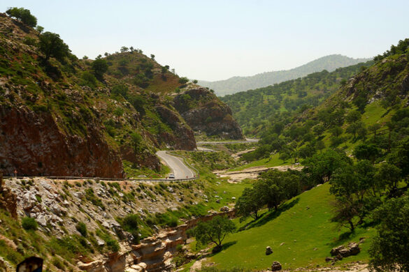 اشنویه - الی گشت