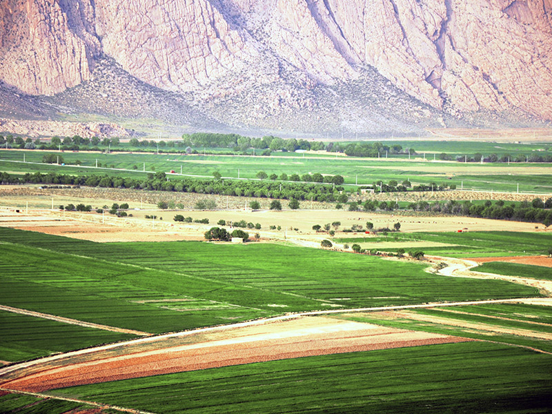 روستای دشتک - الی گشت
