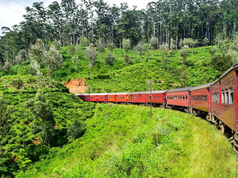 سریلانکا، Expo Rail - الی گشت