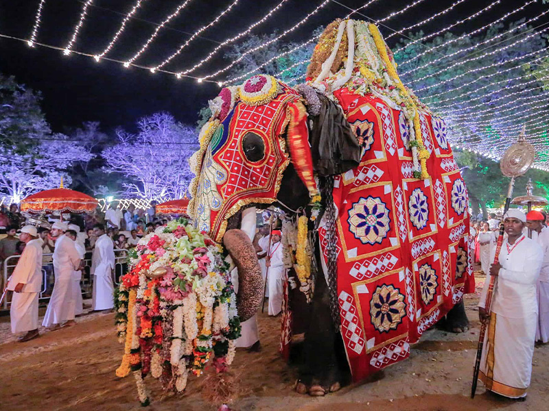 فستیوال Kataragama - فستیوال های سریلانکا - الی گشت