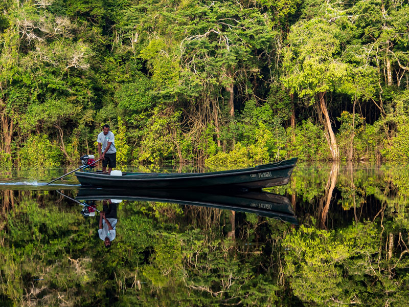 جنگل های آمازون از جمله دیدنی های برزیل - الی گشت