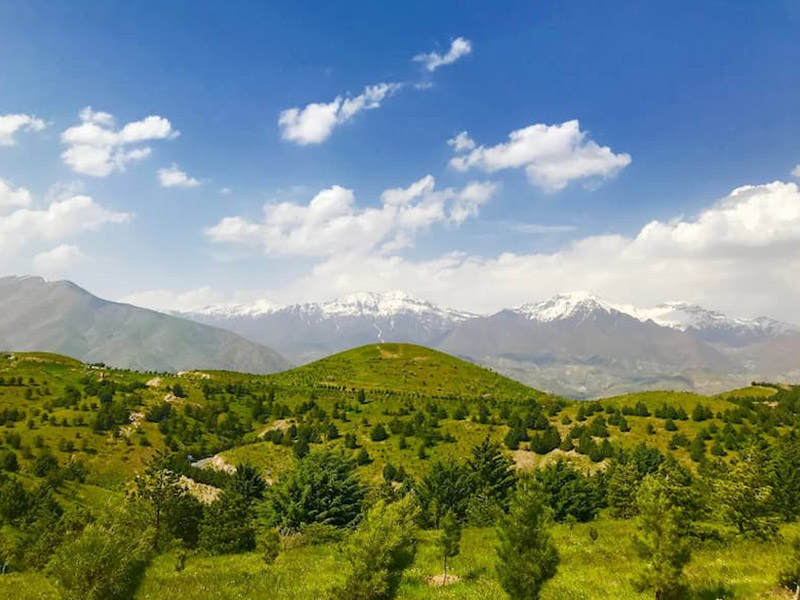 پارک جنگلی و سرسبز غرال یا تلو - الی گشت
