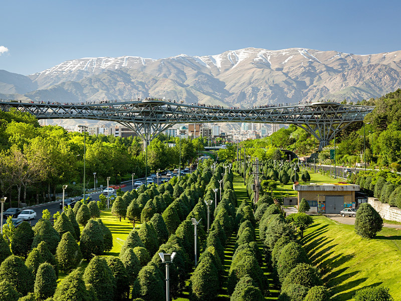 پل طبیعت تهران - الی گشت