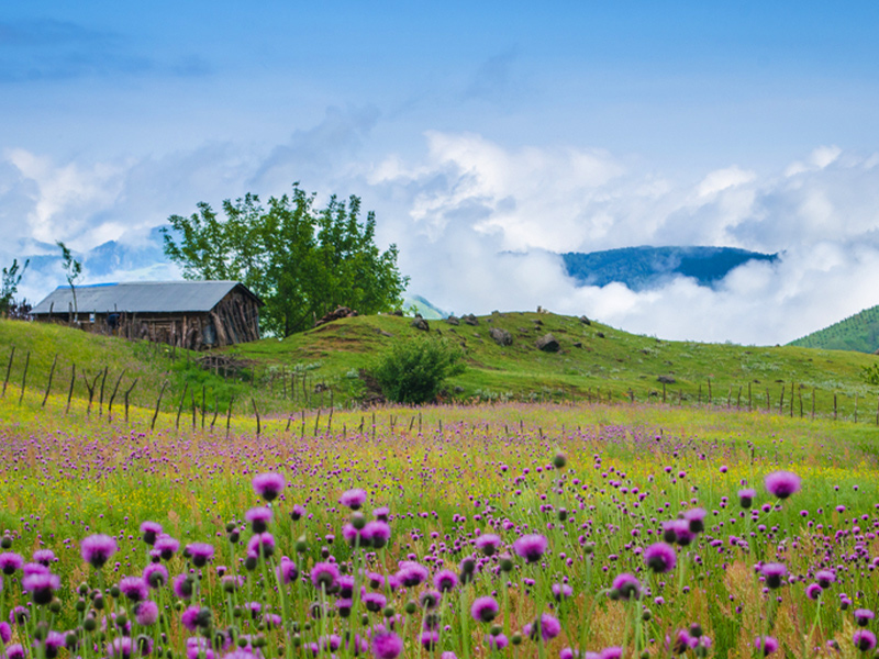 ییلاق سوادکوه