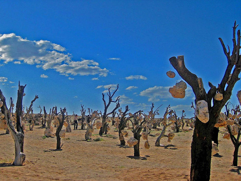 سیرجان و باغی از سنگ های مخوف - الی گشت