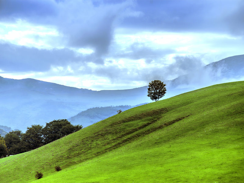 آب و هوای ماسال