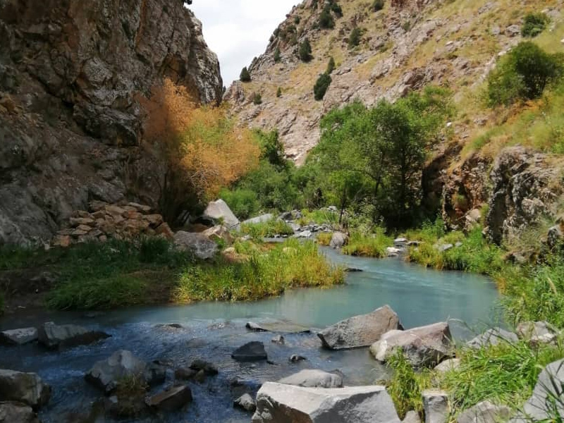 جاذبه های گردشگری روستای پلور