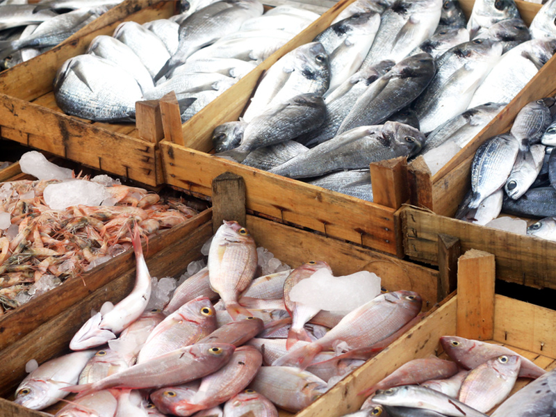 بازار ماهی فروشان بوشهر برای عاشقان ماهی و میگو