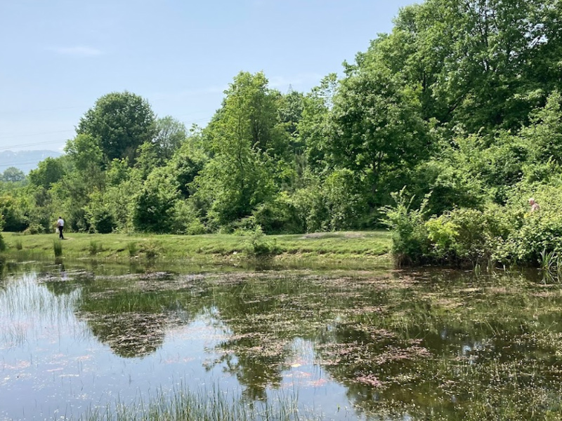 دریاچه سراوان رشت