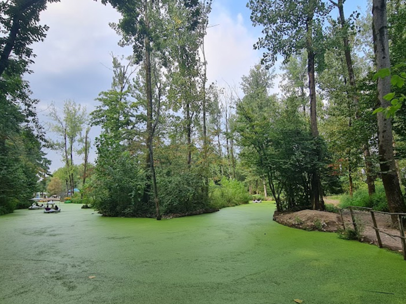 دریاچه سراوان رشت