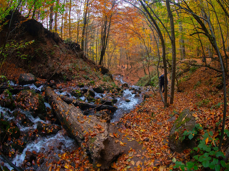 جاذبه های شهر بولو ترکیه