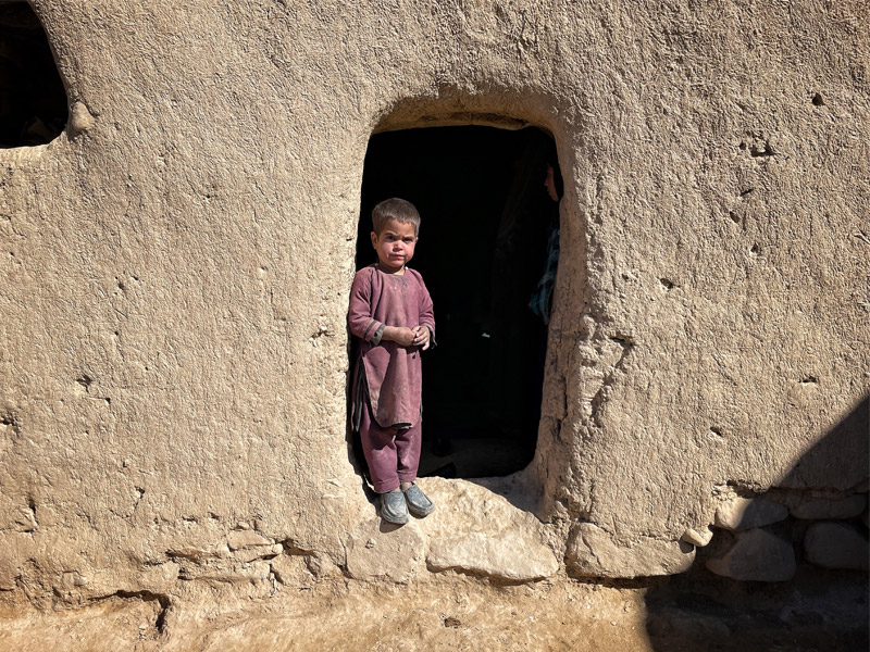 لیلیپوت ایران