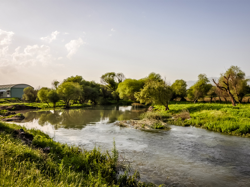 جاذبه های سلیمانیه عراق