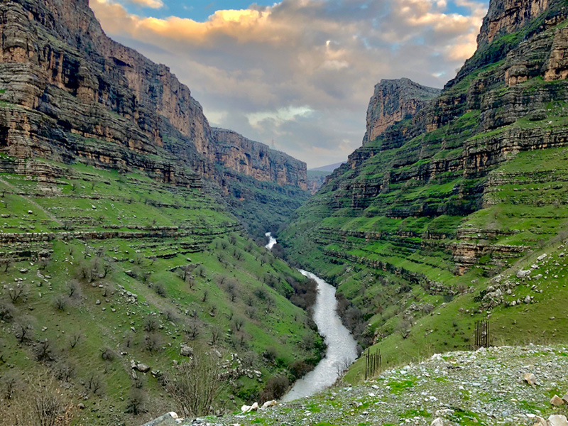 سفر به عراق