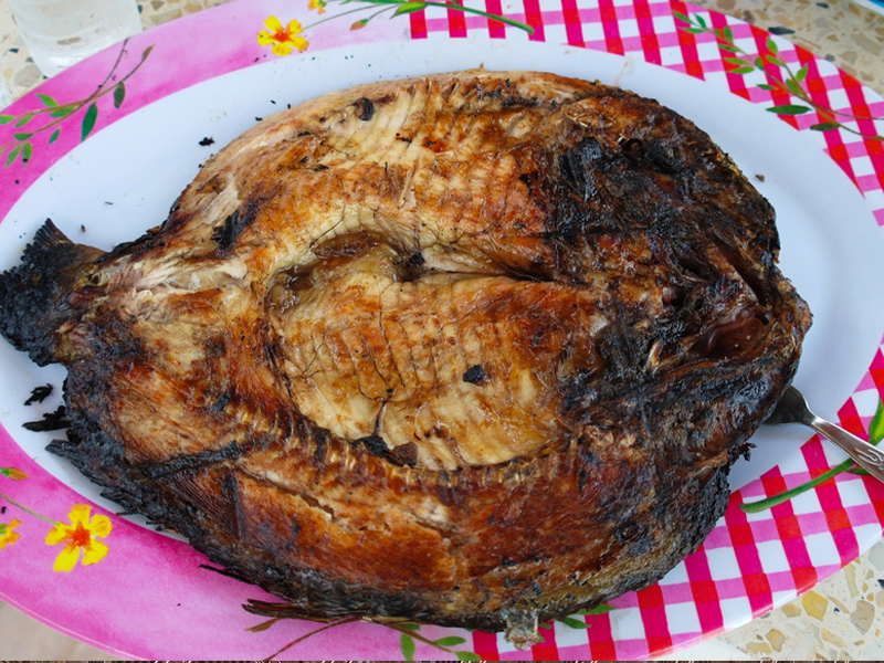 سفر به عراق