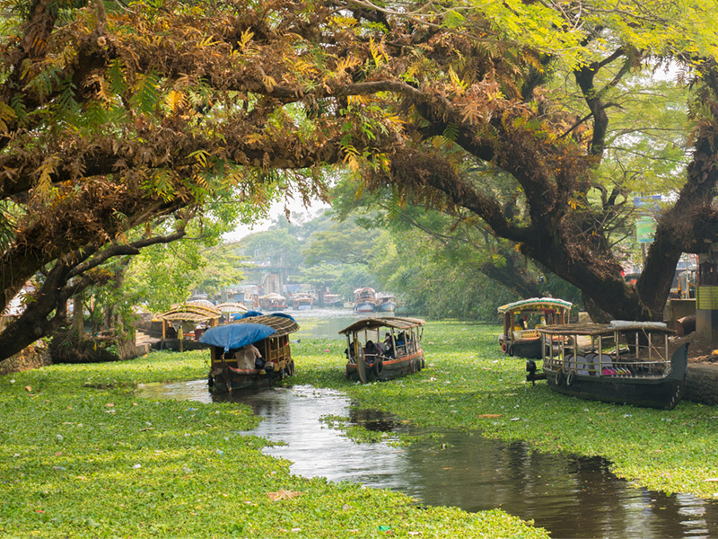 عجیب ترین اسرار هند