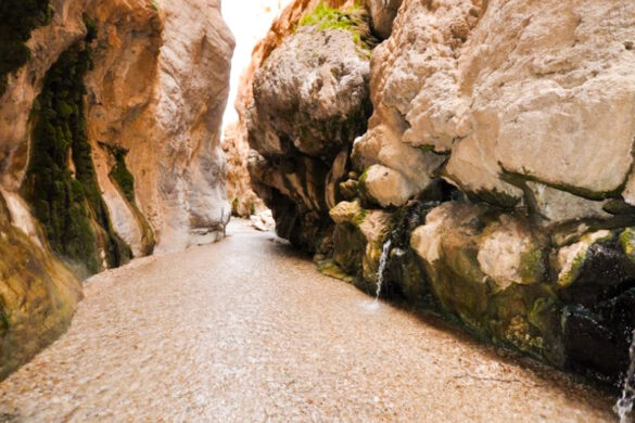 چشمه مرتضی علی