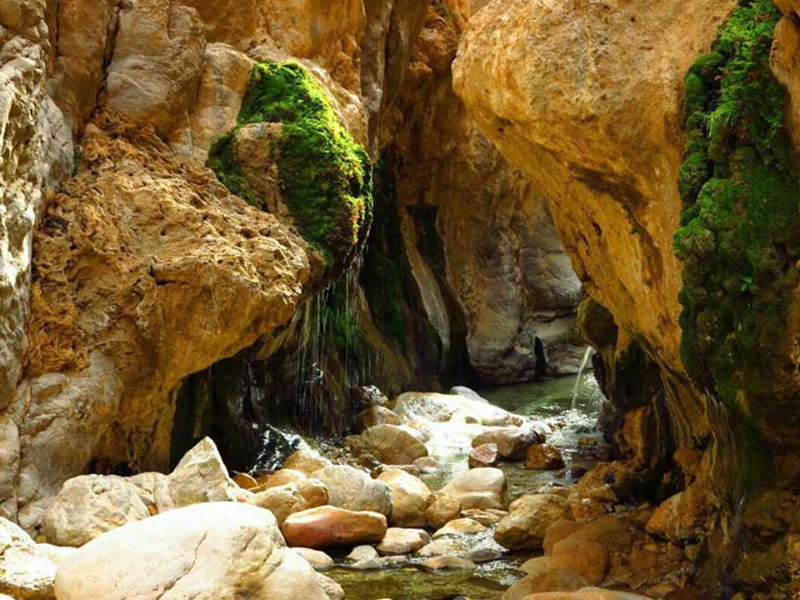 چشمه مرتضی علی