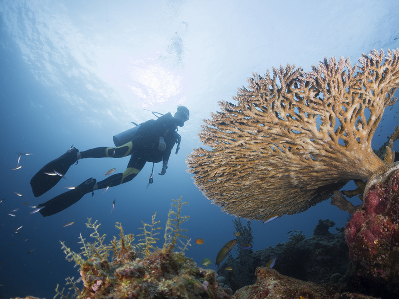 جزایر سیمیلان