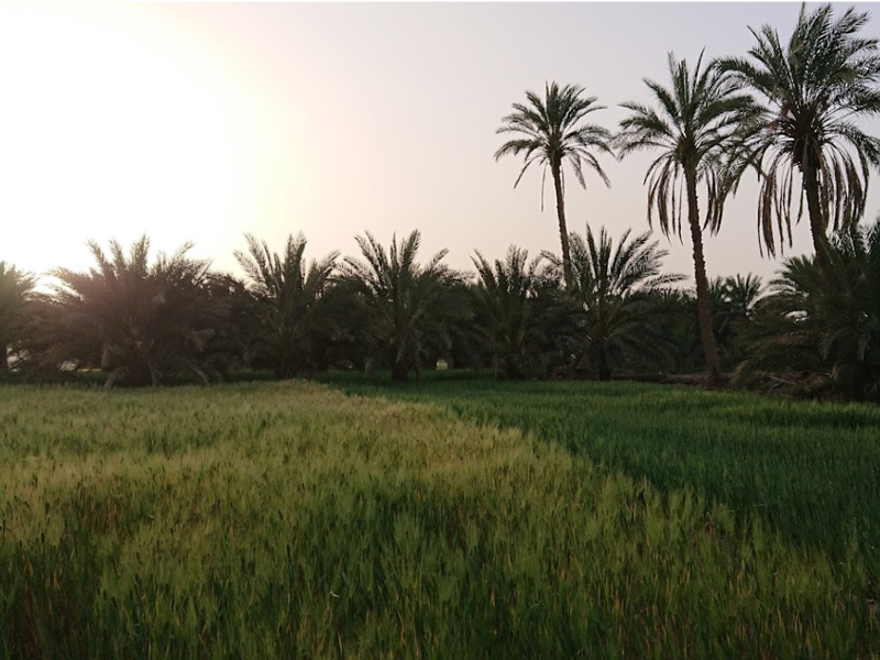 روستای دهسلم