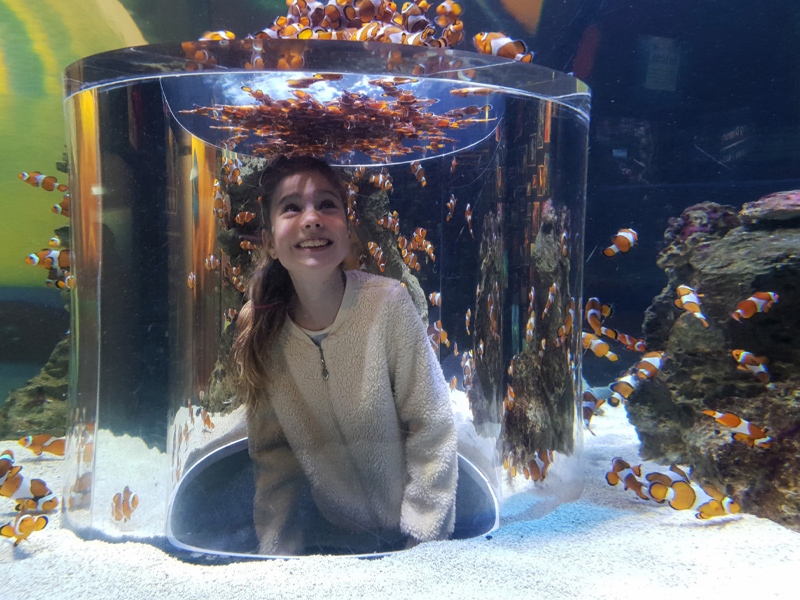 اکواریوم تو اوشن