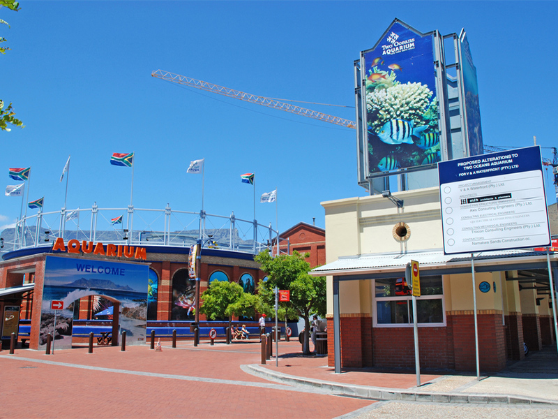 اکواریوم کیپ تاون