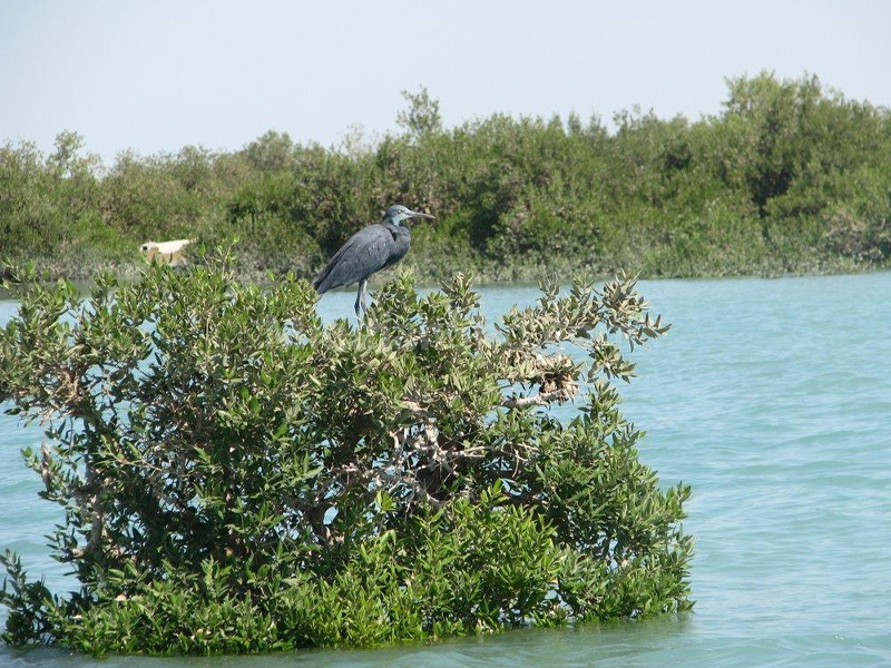 تالاب خورخوران