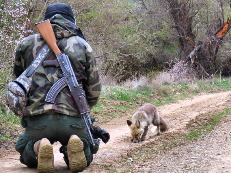 منطقه حفاظت شده پرور
