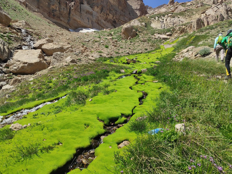 روستای سیور