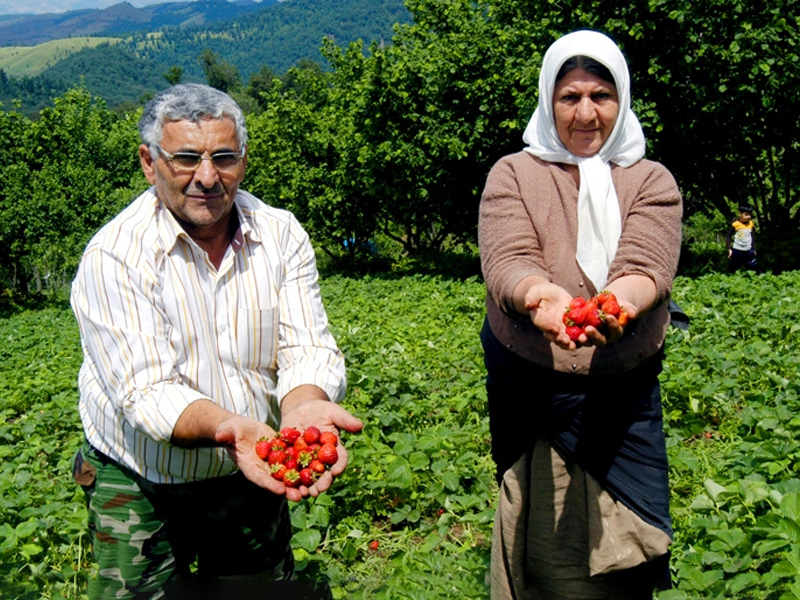 ییلاق سی دشت