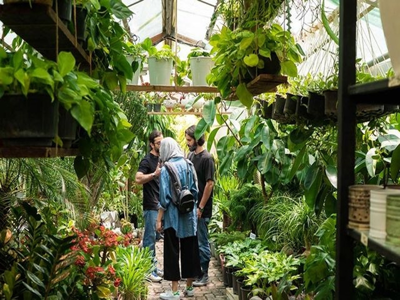 بازارهای گل تهران