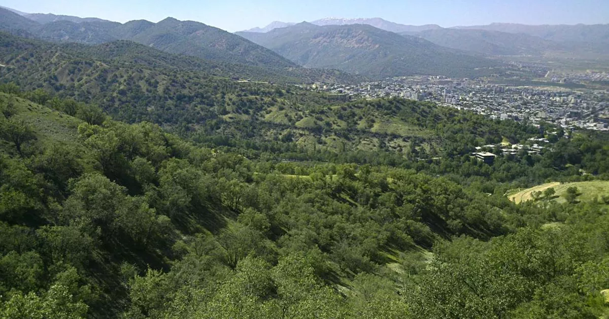 پارک جنگلی یاسوج - دیدنی های یاسوج