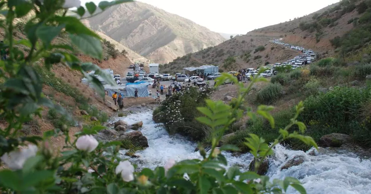 جاذبه های یاسوج -چشمه میشی