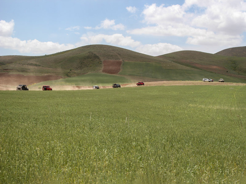 کوهستان سارال