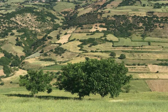 برفچال مینودشت