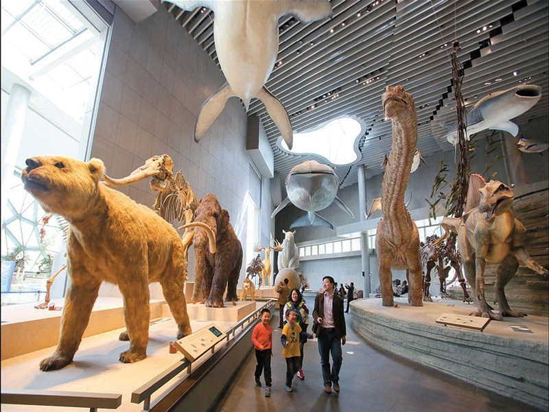 موزه تاریخ طبیعی شانگهای
