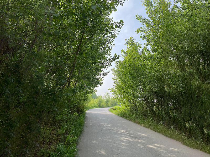 روستای آلمان