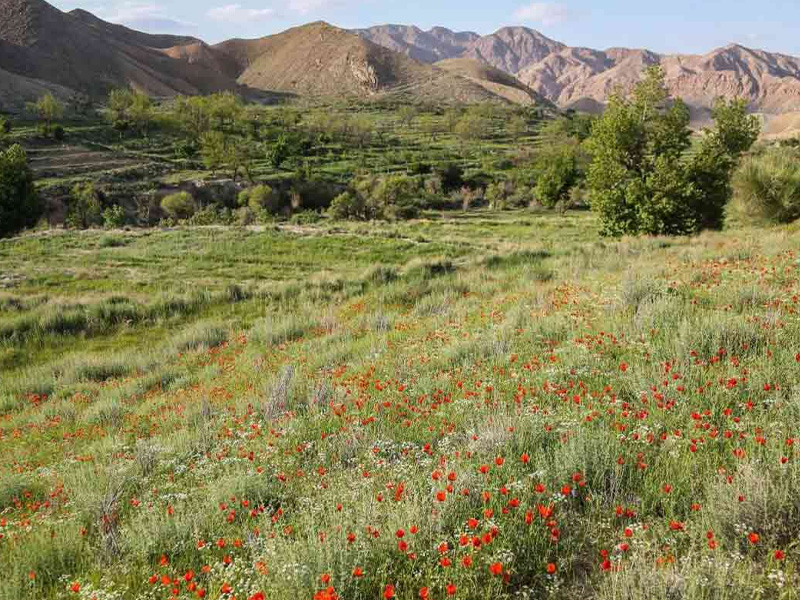 روستای تجنود