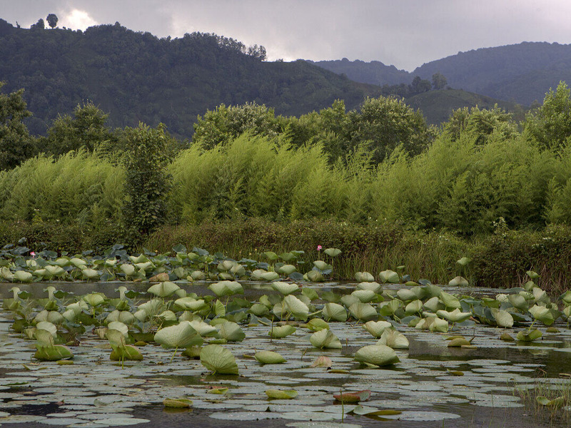 تالاب سوستان