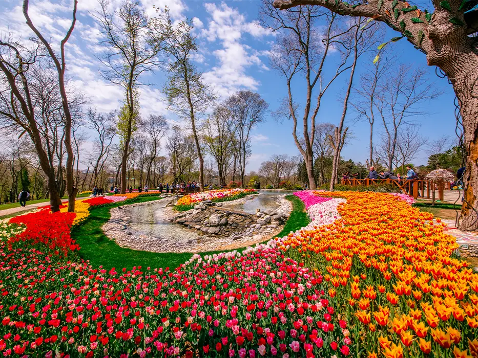 جشنواره لاله استانبول (The Istanbul Tulip Festival)