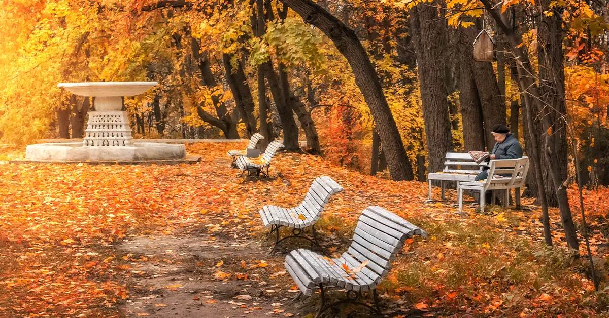 باغ نسکوشنی - جاذبه های مسکو