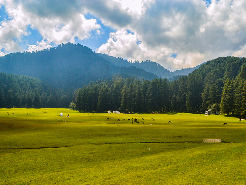 منطقه خاجیار هند