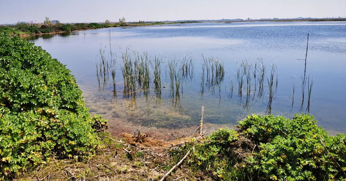 تالاب سراندون و بالندون - دیدنی های ساری