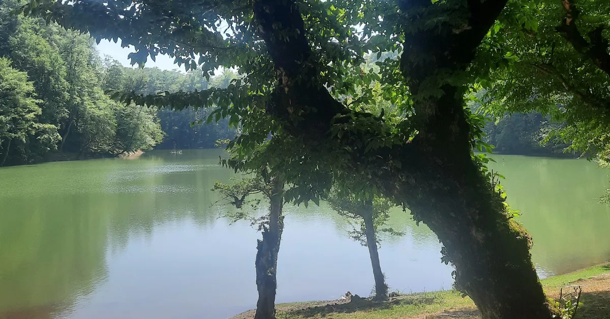 دریاچه چورت - دیدنی ساری