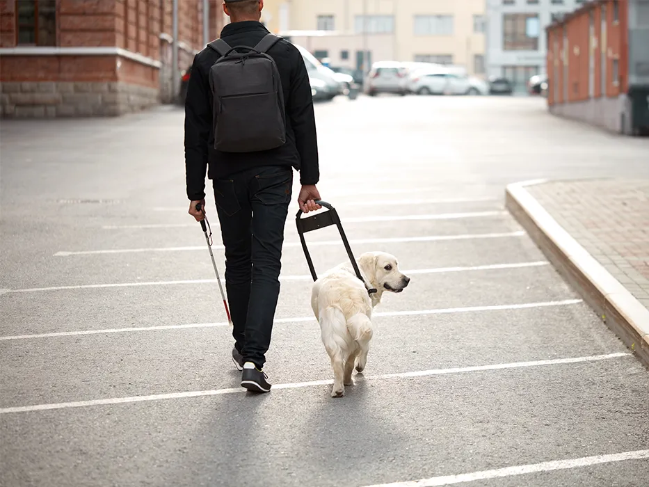 روستای چهار برج